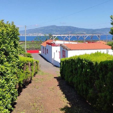 Casa Da Ilha Villa Madalena  Kültér fotó
