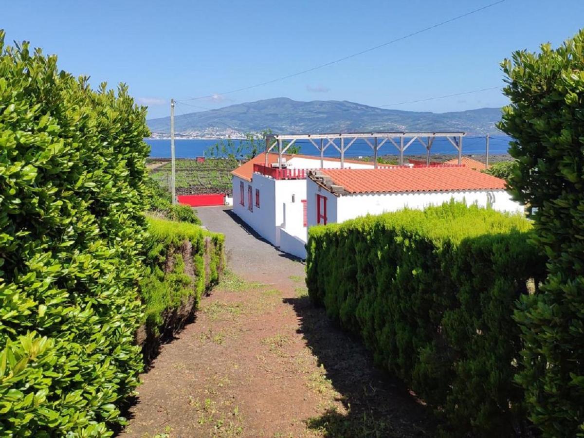 Casa Da Ilha Villa Madalena  Kültér fotó