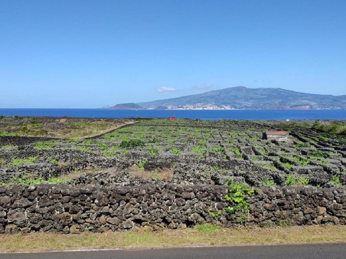 Casa Da Ilha Villa Madalena  Kültér fotó
