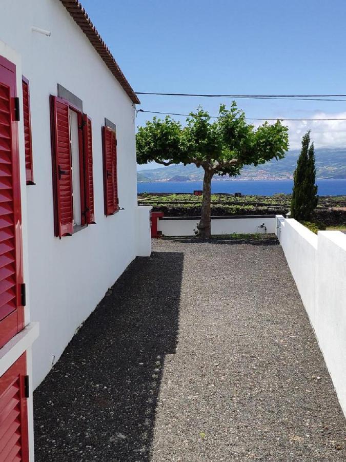 Casa Da Ilha Villa Madalena  Kültér fotó